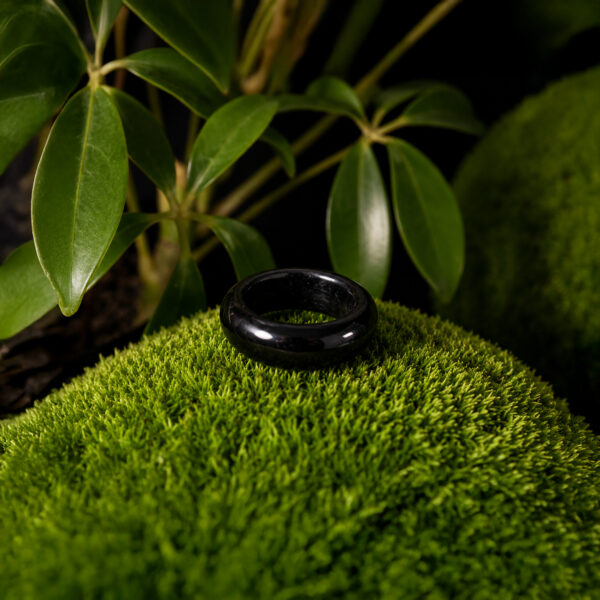 Ring aus Mooreiche in Harz – glatter schwarzer Bandring – ZILVANO